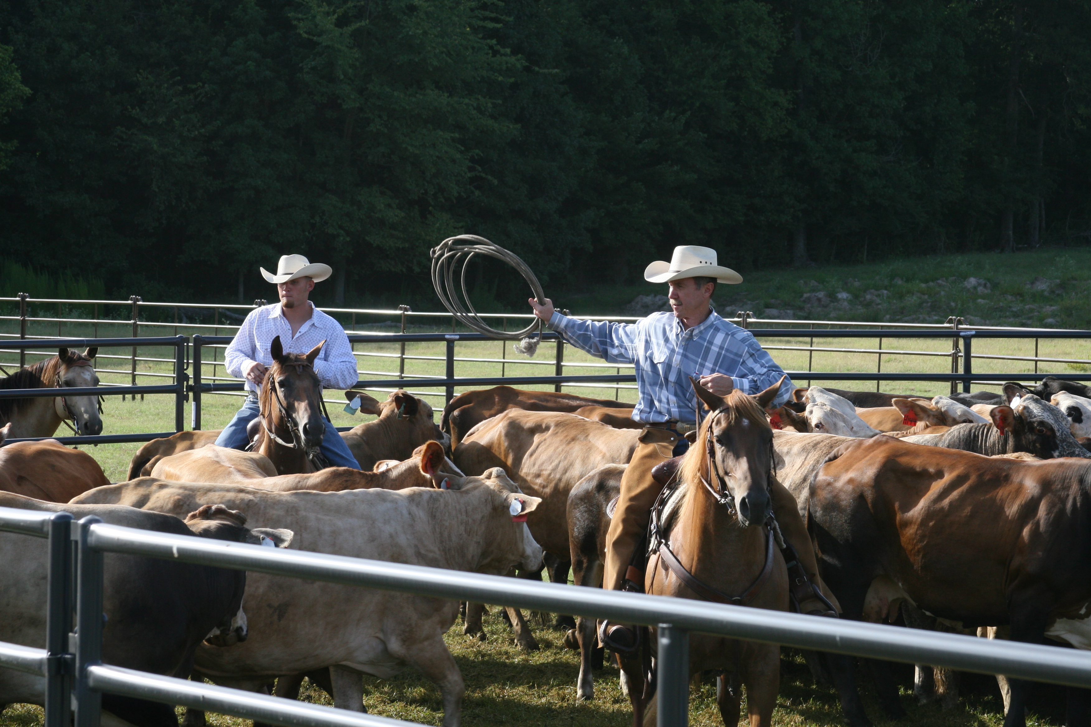 Rough Stock RSAP 06.JPG